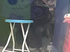 -爱侣宠医·鹦鹉专科·小型哺乳类·异宠专科(灵石路店)