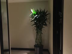 -国家会议中心大酒店