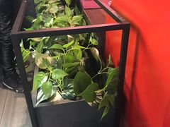 -酷公社·榴莲披萨(太原街店)