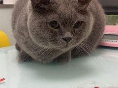 -宠福鑫康馨动物医院·骨科·眼科