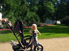 -滴血救世主教堂