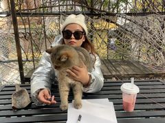 -喵屿·大理花园猫咖