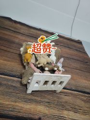 -小熊维尼高端儿童摄影(福田新洲店)
