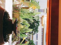 -三亚亚龙湾天域度假酒店