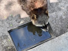 -青藏高原野生动物园