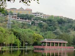 -顺峰山公园