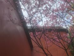 -乌山风景区