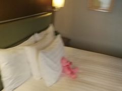 -上海浦东华美达大酒店