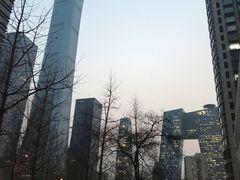 -中央广播电视总台(光华路办公区)