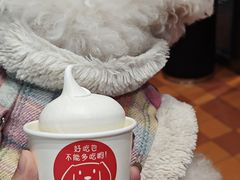 -DQ·蛋糕·冰淇淋(大宁国际商业广场店)
