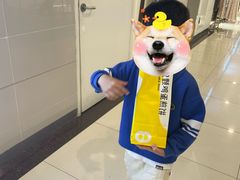 -2颗鸡蛋煎饼(北京路天河城店)