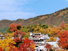 -塔川景区
