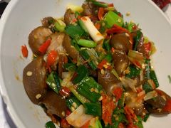 -壹盏灯(惠农店)