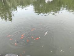 -仁和公园(顺义区)
