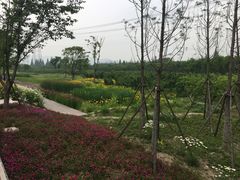-长田漾湿地公园