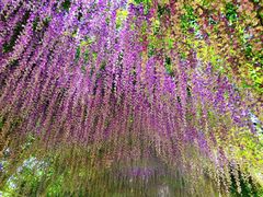 -同里国家湿地公园