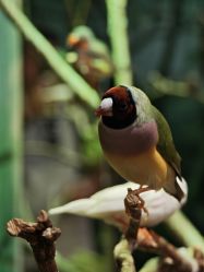 -Zoolung Zoolung动物主题公园(海信广场店)