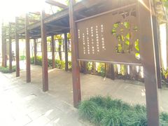 -重庆彩云湖湿地公园