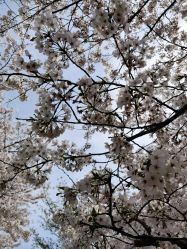 -玄武湖景区-情侣园游乐场