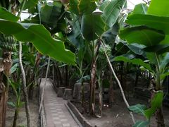 -松咖啡自助餐厅·松北香格里拉