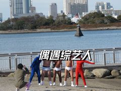 -台场海滨公园船码头