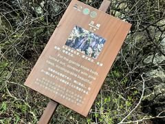 -王顺山国家森林公园