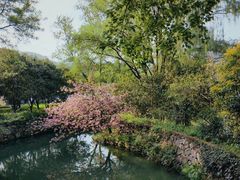 -青岩寺风景区