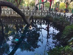 -蝴蝶泉公园