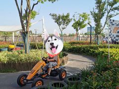 -季高兔窝窝亲子园(上海薰衣草公园店)