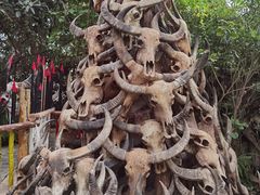 -呀路古热带植物园