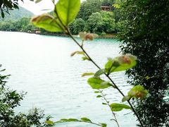 -石燕湖生态旅游景区