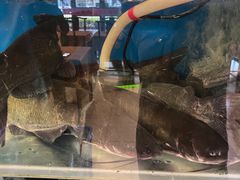 -秦记香辣蟹(松榆里店)