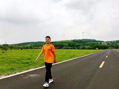 -御道口草原森林风景区