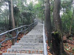 -祁门牯牛降观音堂风景区