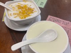 杨枝甘露-南信牛奶甜品专家