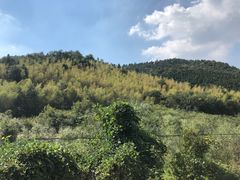 -石塘人家