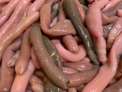 -旺角小渔村·海肠捞饭开创者(环山路店)