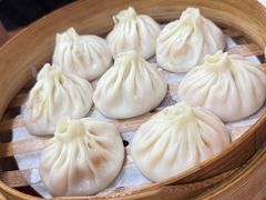 -莱莱小笼·乔艾