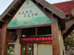 -上海海湾国家森林公园