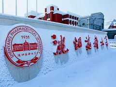 -沈阳药科大学