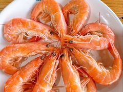白灼虾-蓝湾碧波·老字号·疍家非遗海上餐厅