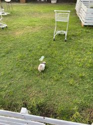 -小蜜蜂农场(凯德七宝购物广场店)