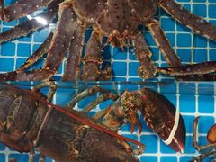 -三亚火车头万人海鲜广场