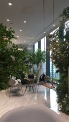 -MuseMarry婚纱(前海嘉里中心店)
