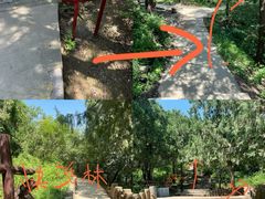 -北京西山国家森林公园