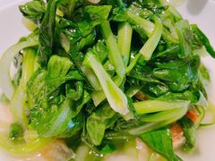 鸡毛菜炒腐衣-玫瑰厅上海菜(兴国路店)