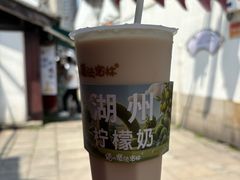 柠檬奶-猫的魔法密林(衣裳街店)