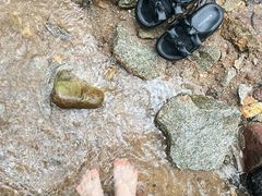 -火炉山森林公园