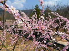 -北京十三陵国家森林公园蟒山景区
