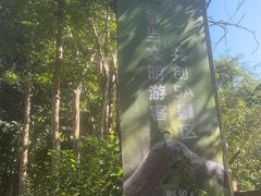 -野象谷景区